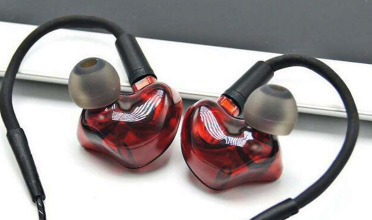 FCS210 In-Ear Monitors Dual Dynamic In Ear Monitors